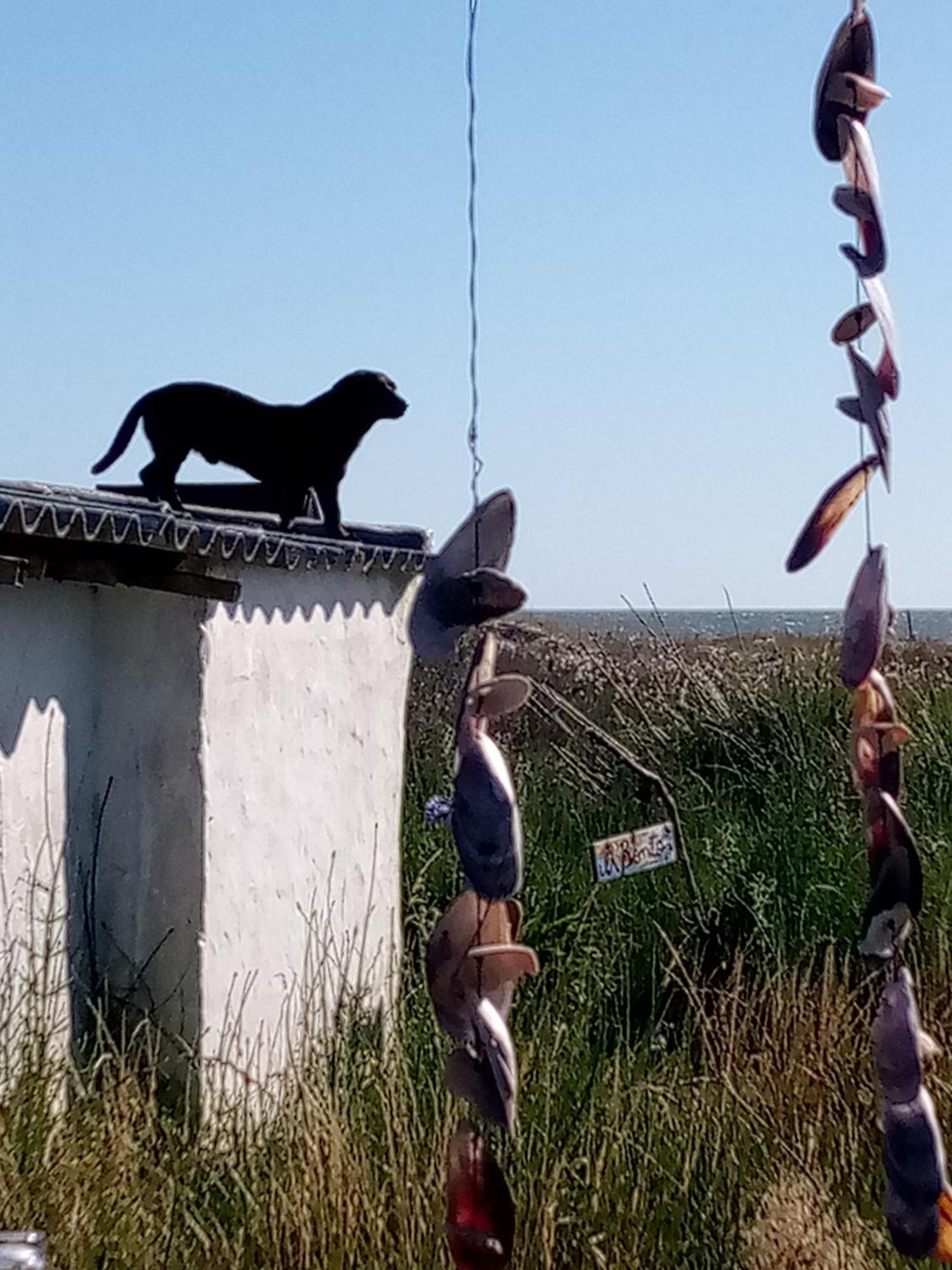 凯博波洛尼奥 Buenas Vibras旅舍 外观 照片