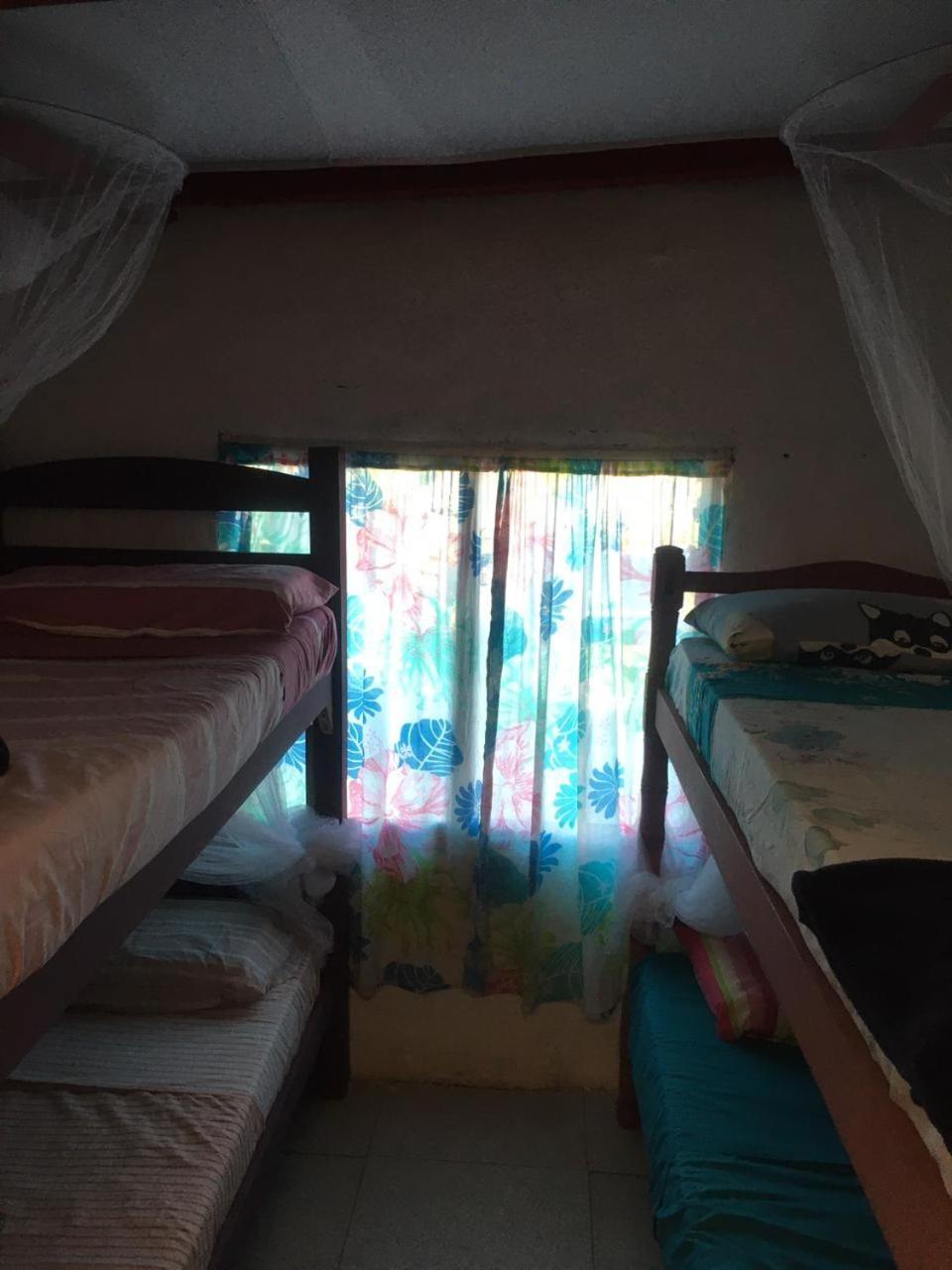 凯博波洛尼奥 Buenas Vibras旅舍 外观 照片